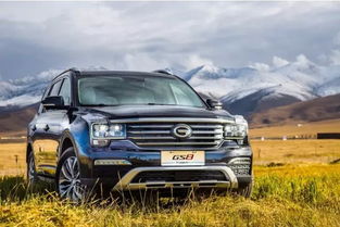 東莞市祺鑫汽車銷售服務 專業與信賴的汽車銷售伙伴